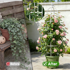Anothera 6ft trellis side view showcasing its height