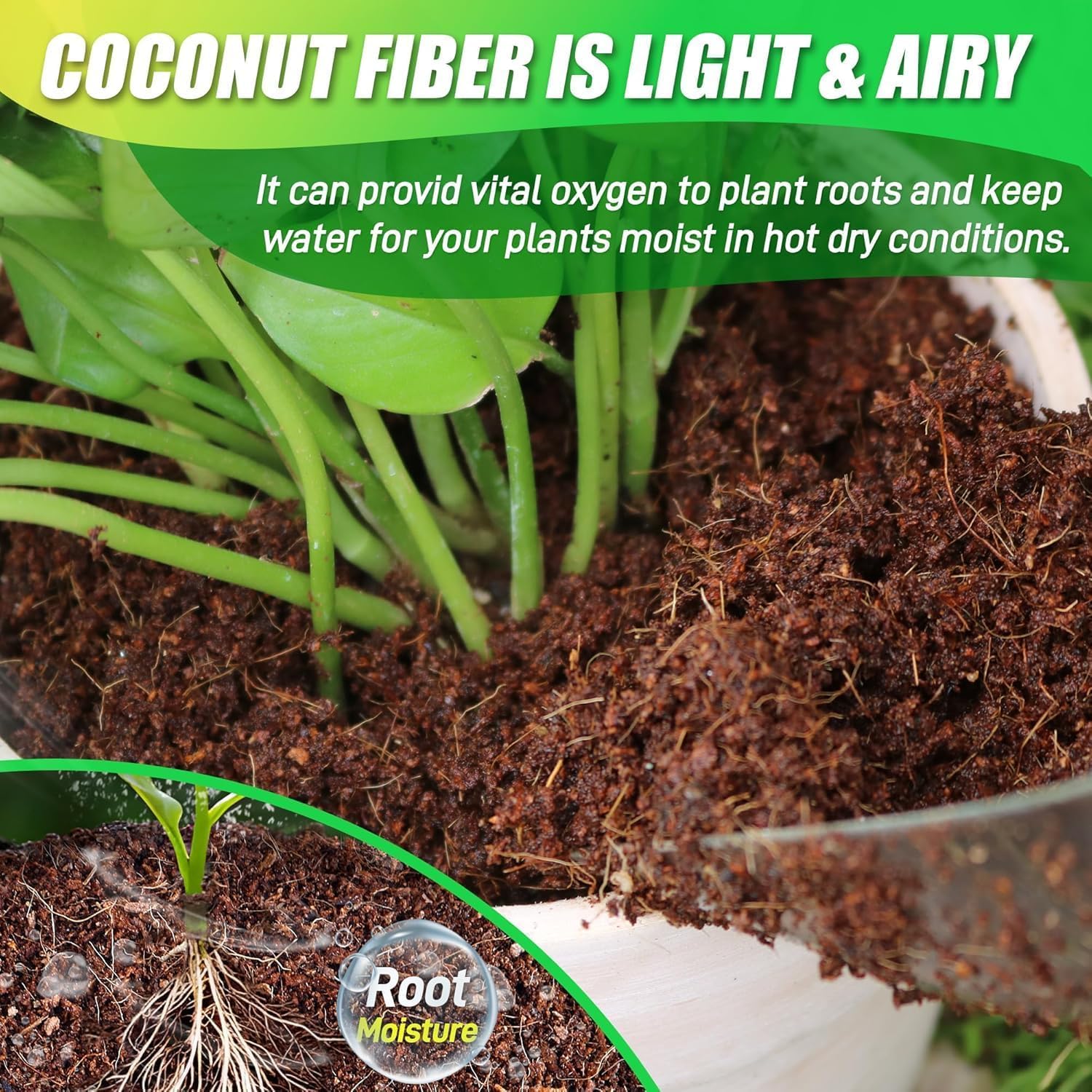 Anothera Coco Coir Brick 8 pack on gardening table