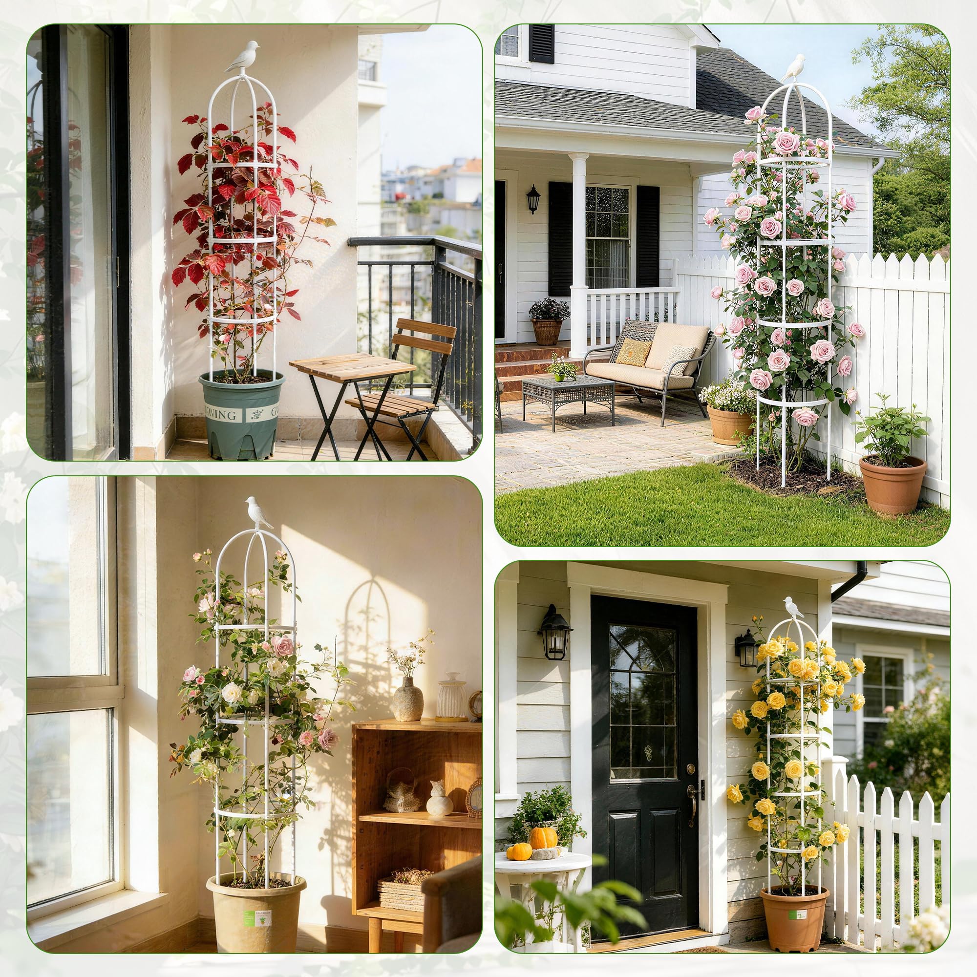 Anothera trellis with clematis plants climbing up the structure