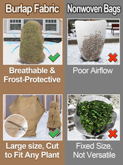 ANPHSIN plant cover laid over potted plants for winter protection