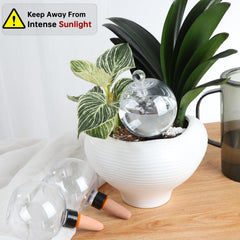 Ansberta Plant Watering Globes filled with water