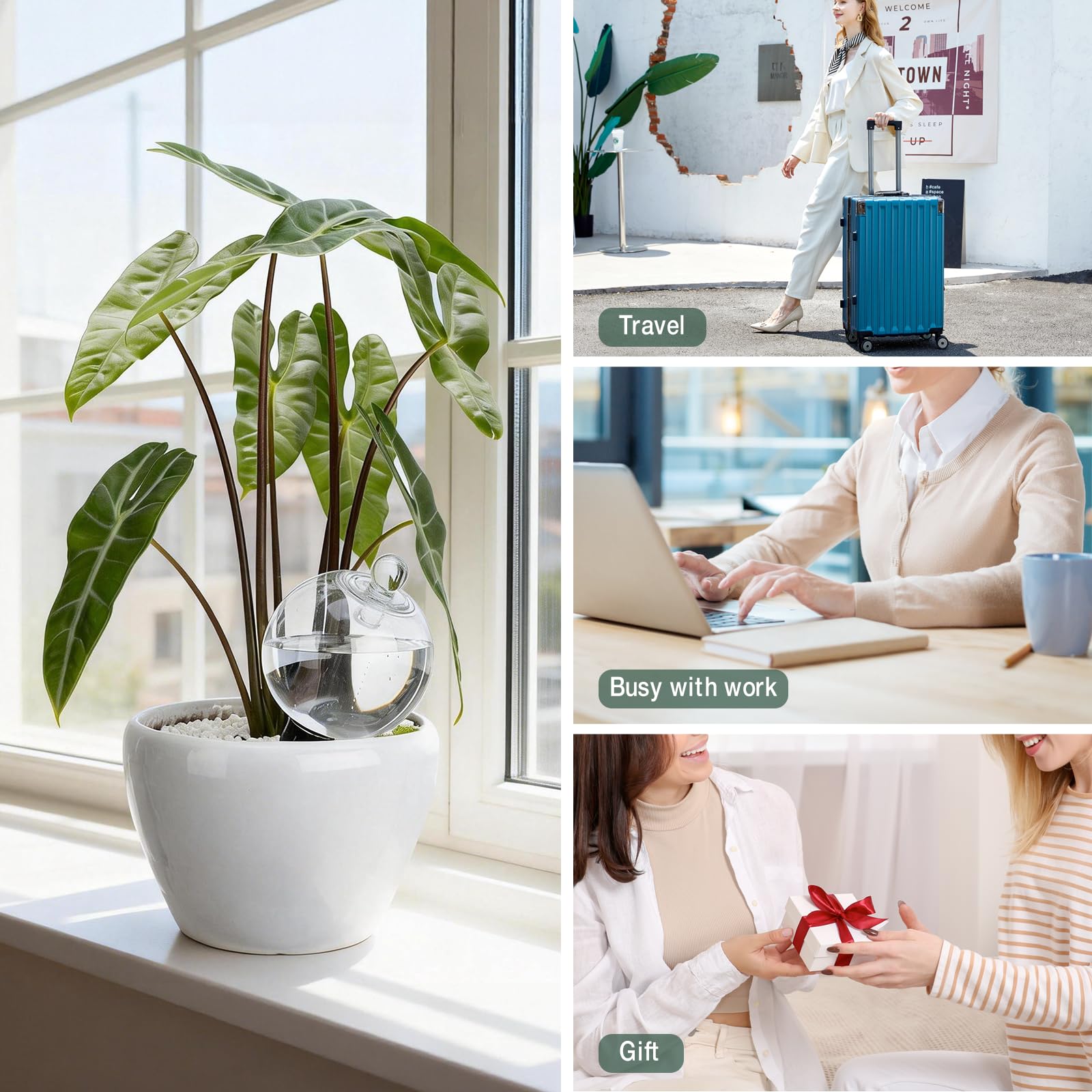 Ansberta Plant Watering Globes packaging details