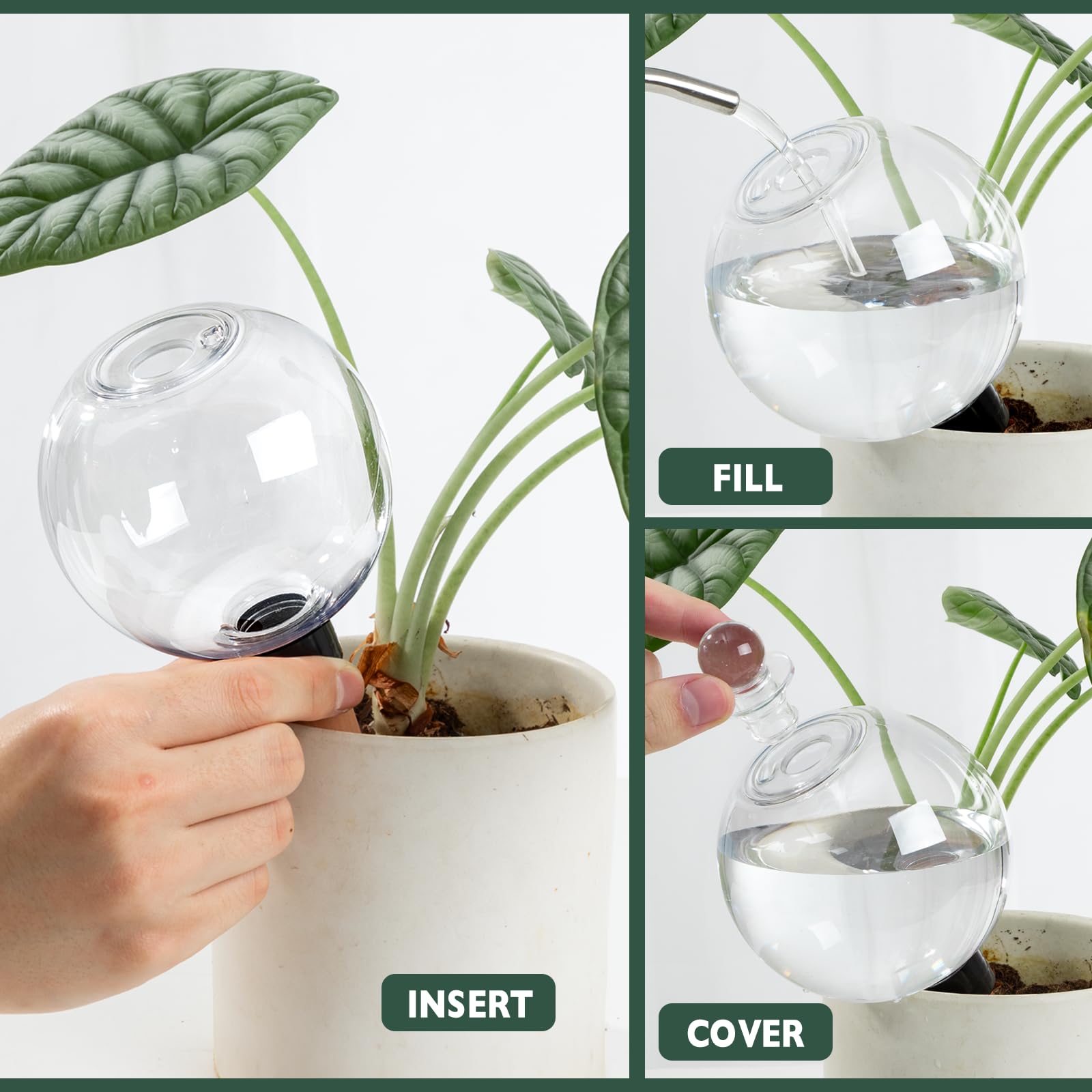 Ansberta Plant Watering Globes set on a table