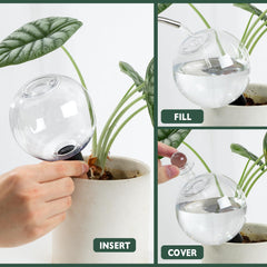Ansberta Plant Watering Globes set on a table