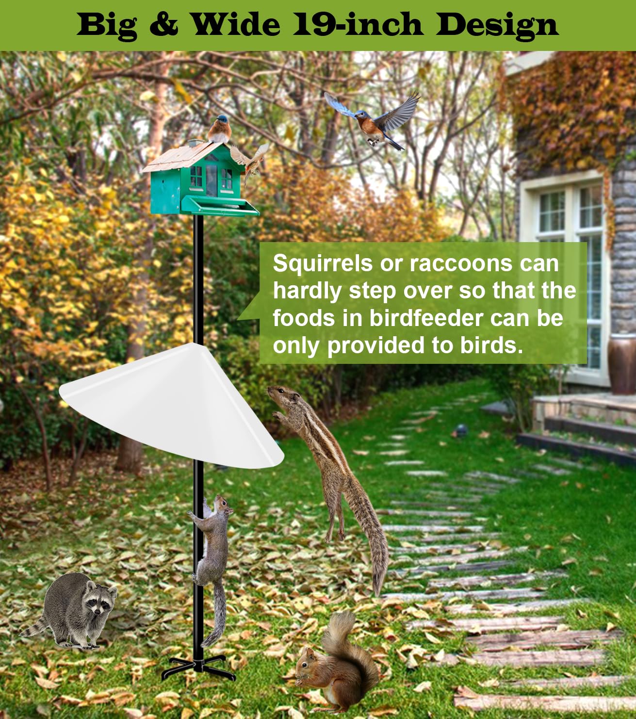 Ansionsol Squirrel Baffle in a garden setting