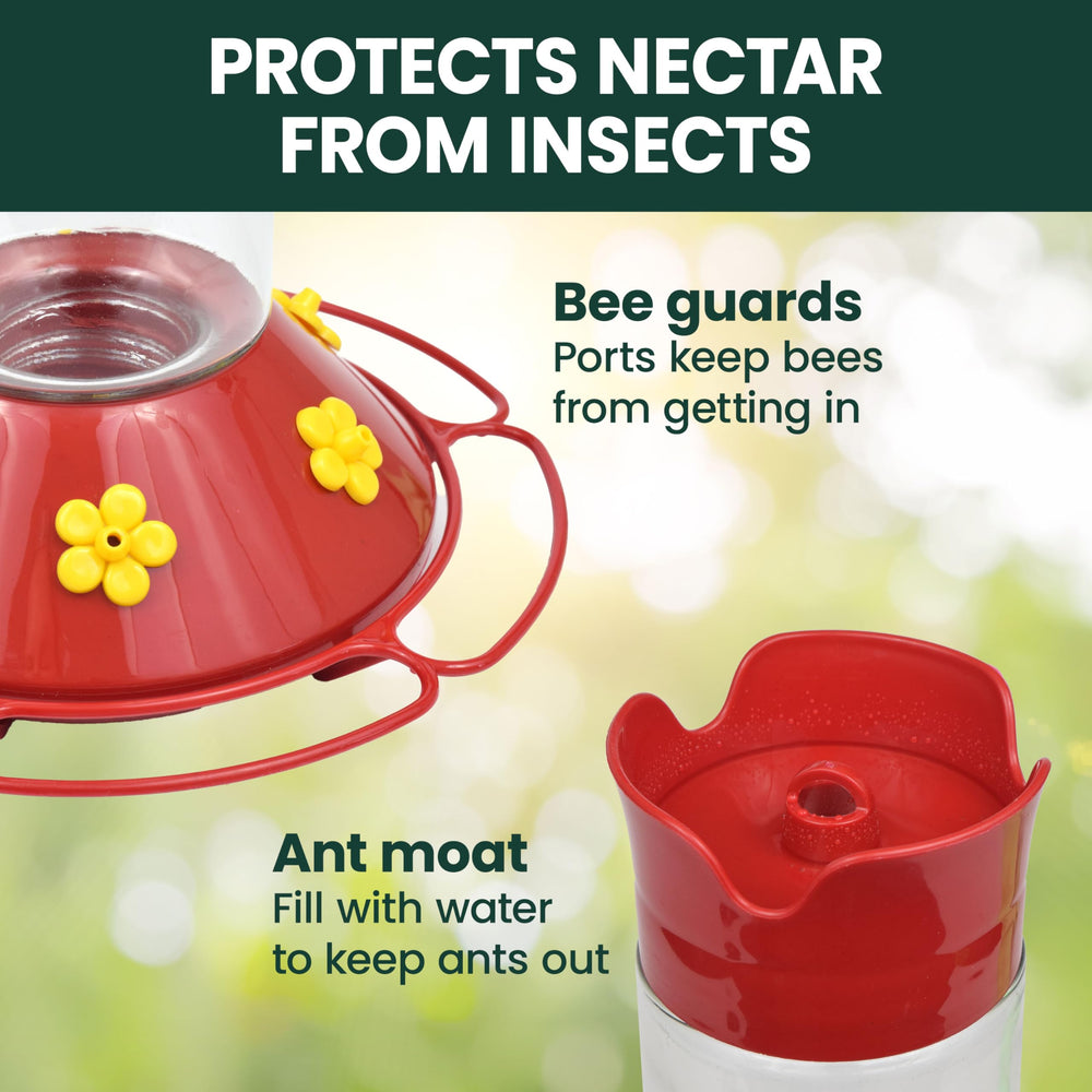 Ant moat feature on Perky-Pet Hummingbird Feeder