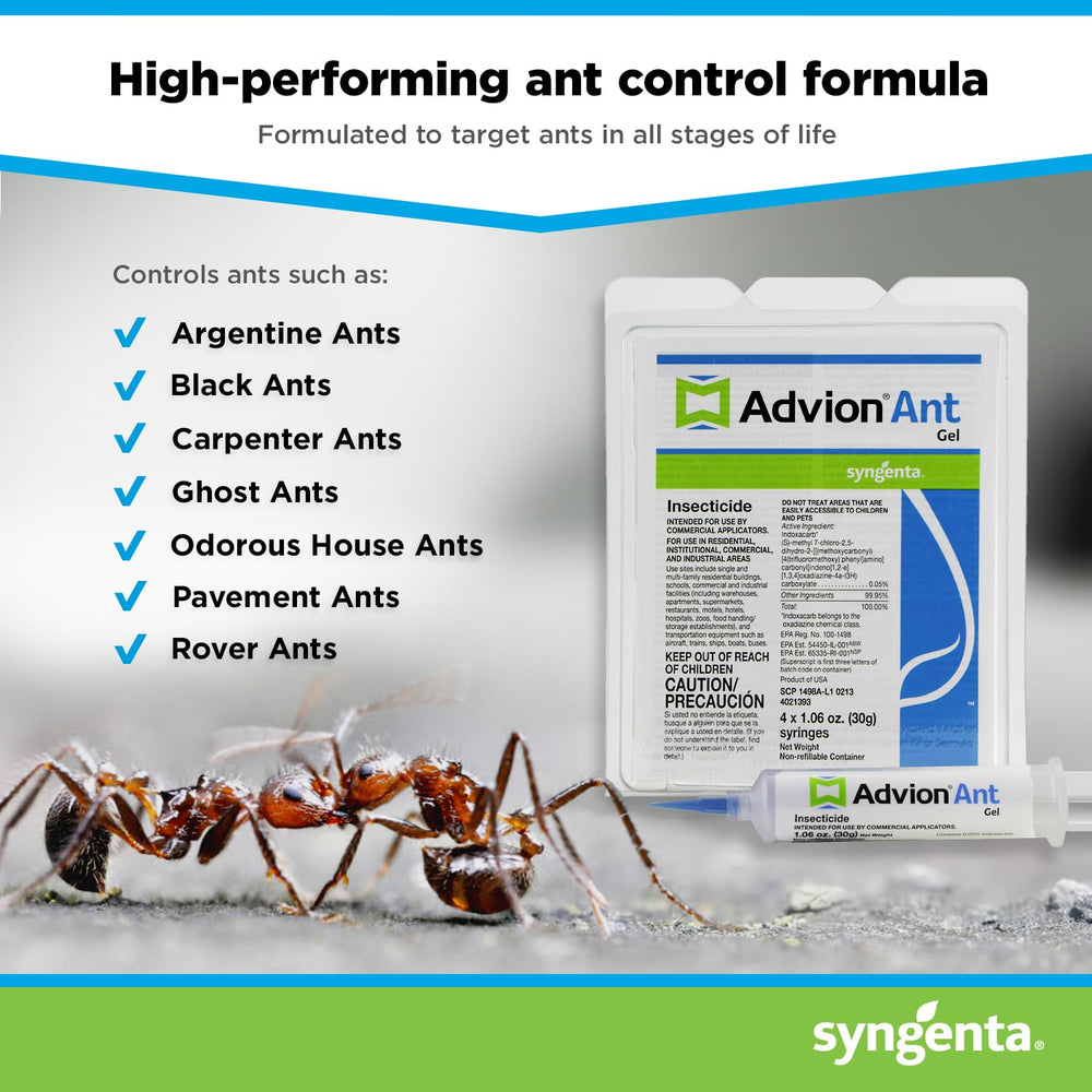 Ant trail being with Syngenta Advion Ant Gel