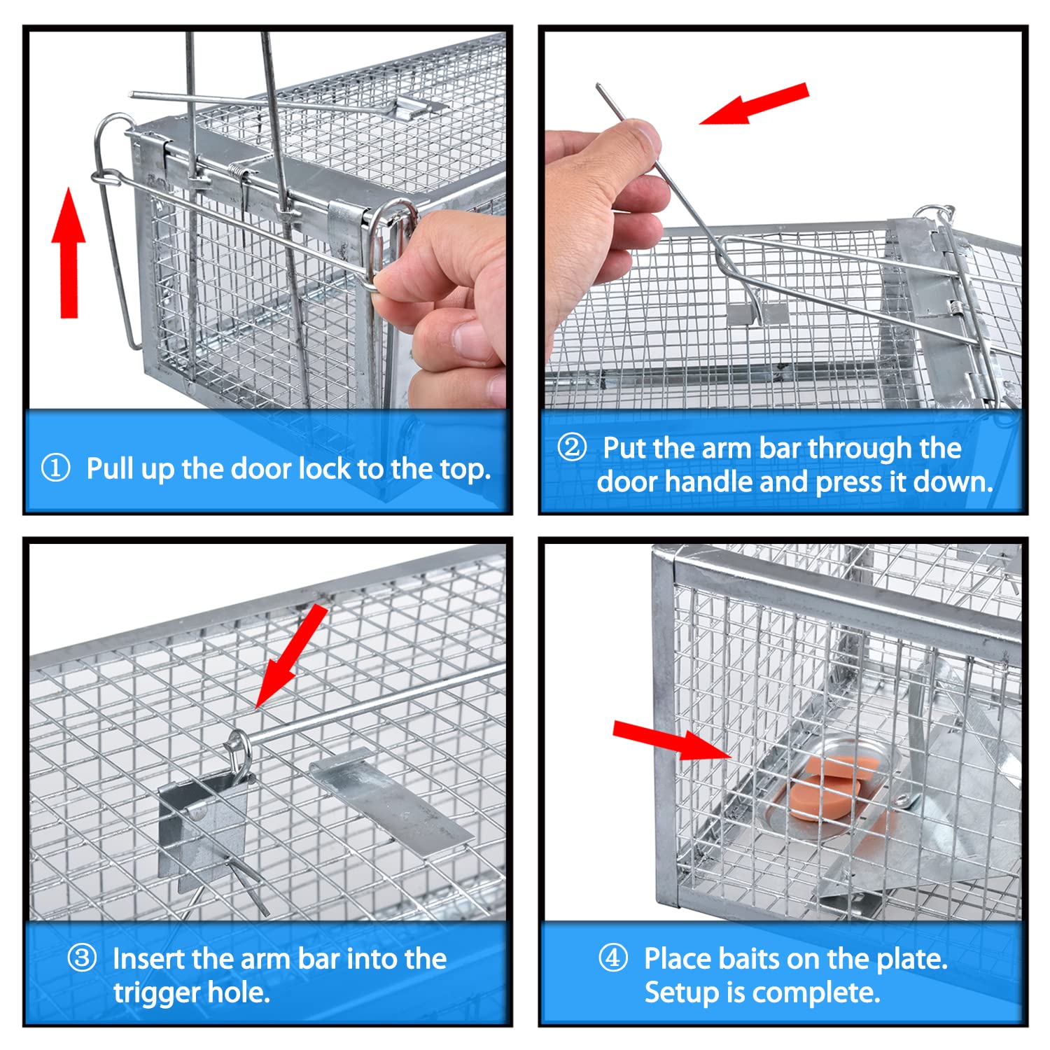 Anyhall live chipmunk trap dimensions in centimeters.