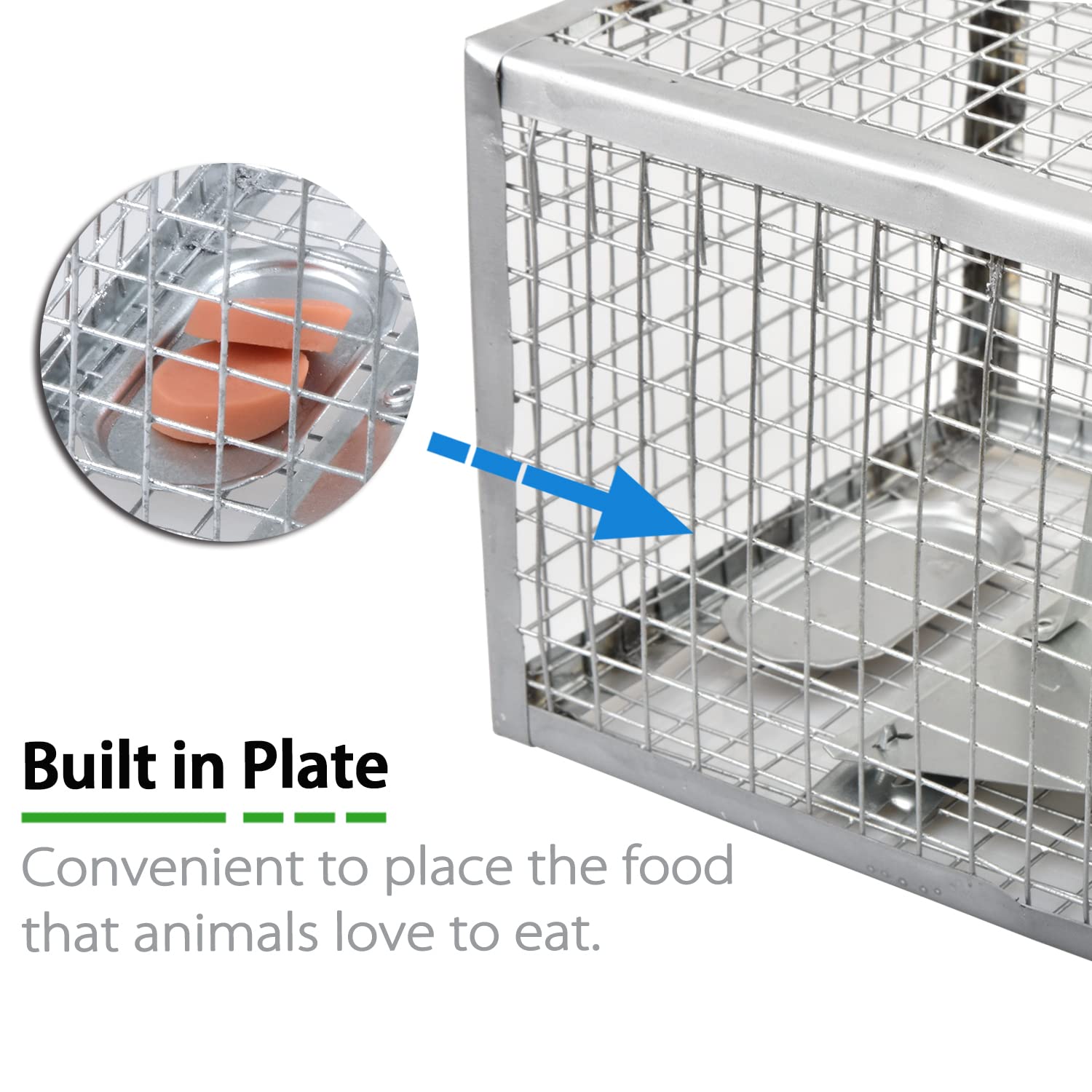 Anyhall live chipmunk trap setup with bait.