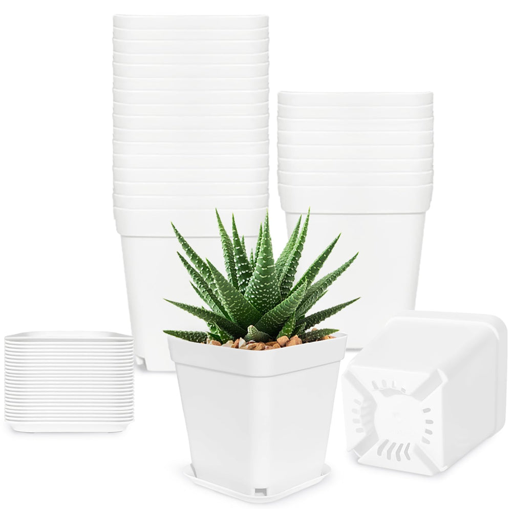 Anyumocz 24Pcs 3-inch square plastic plant pots with saucers