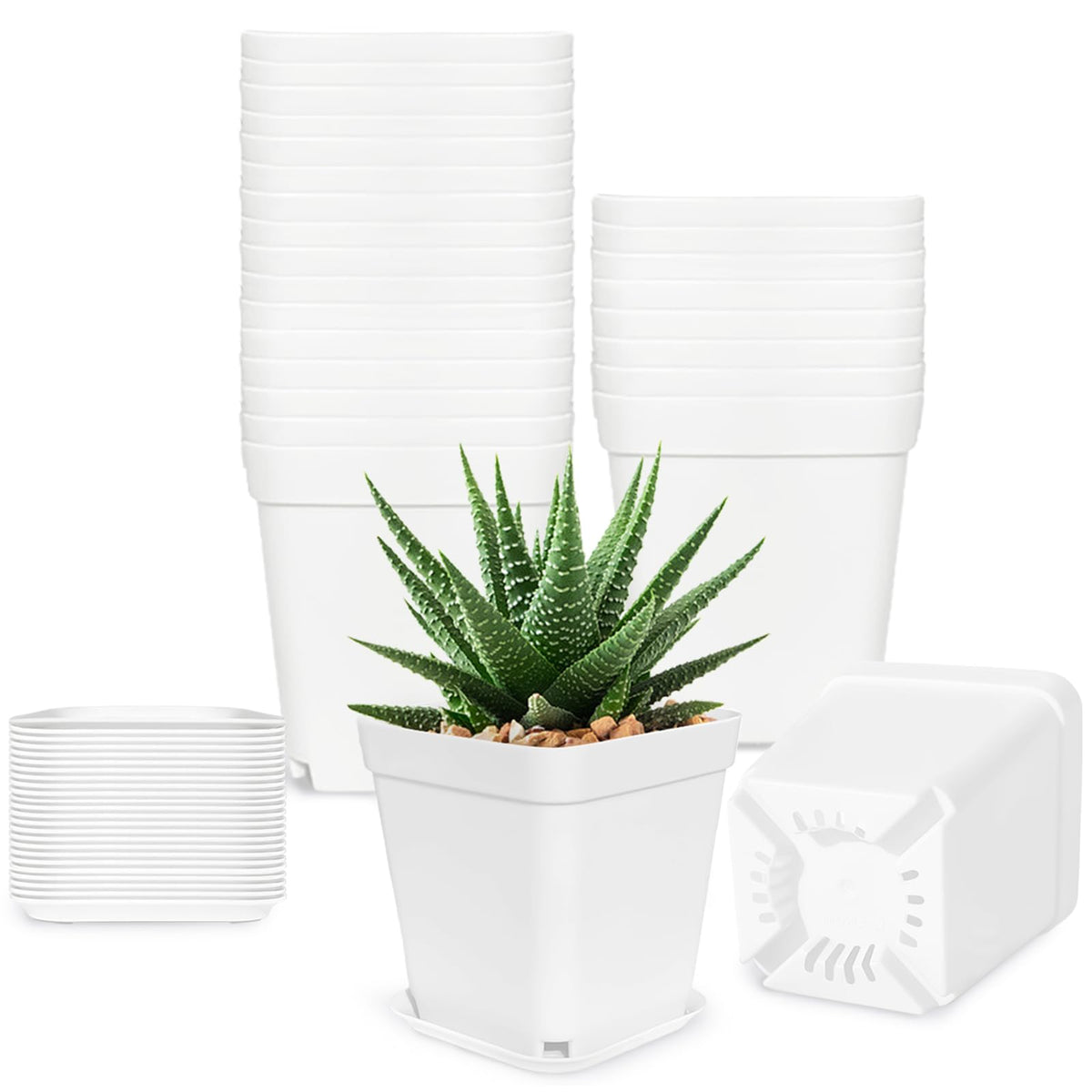 Anyumocz 24Pcs 3-inch square plastic plant pots with saucers