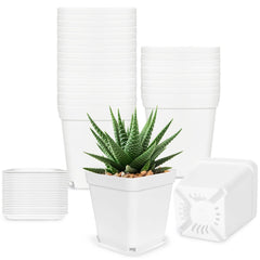 Anyumocz 24Pcs 3-inch square plastic plant pots with saucers