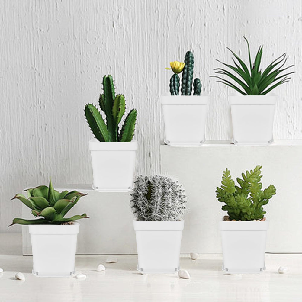 Anyumocz nursery pots with decorative plant labels