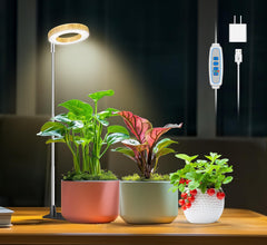 Aokrean Grow Light front view with faux wood grain design
