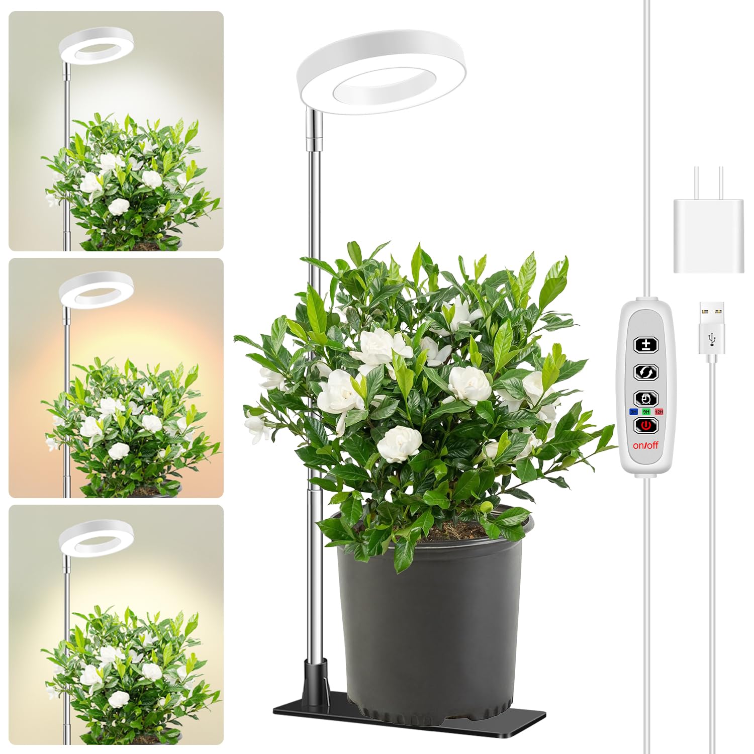 Aokrean Halo Grow Light front view with adjustable height feature