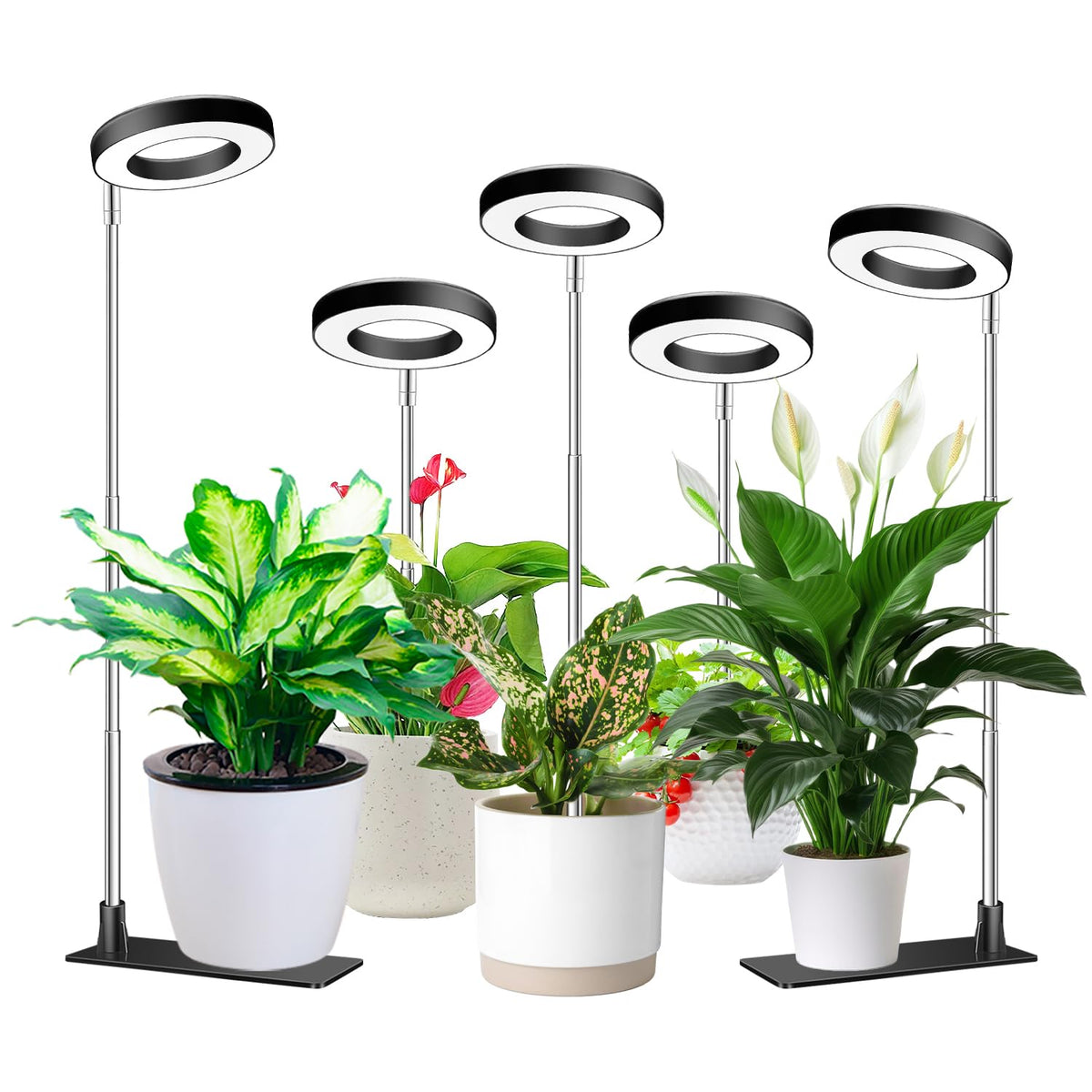 Aokrean Halo Grow Light front view with adjustable pole