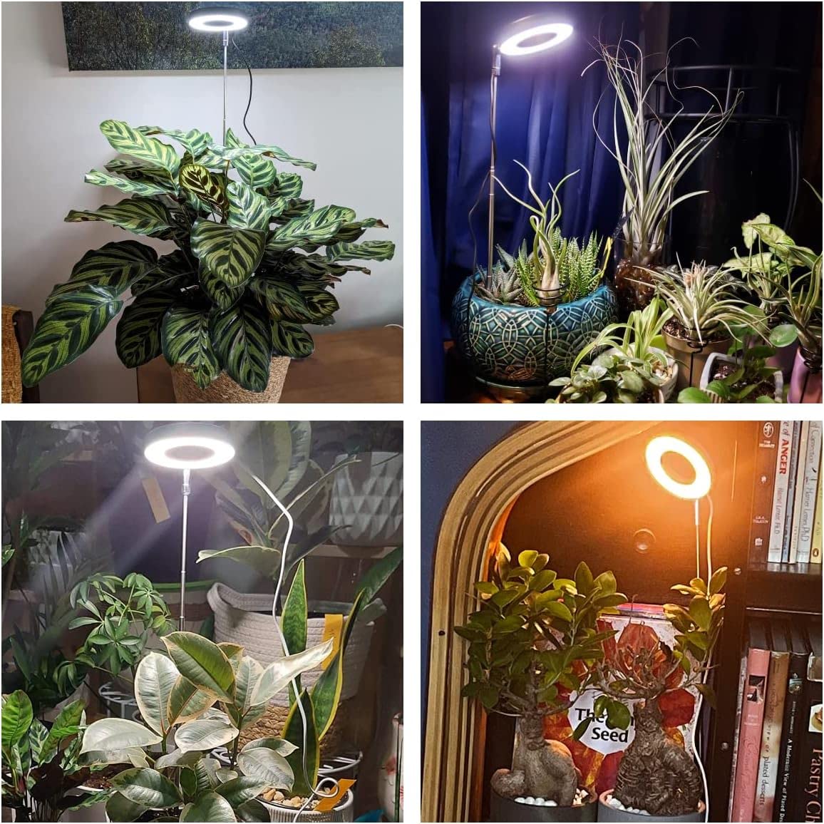 Aokrean Halo Grow Light showing three lighting modes