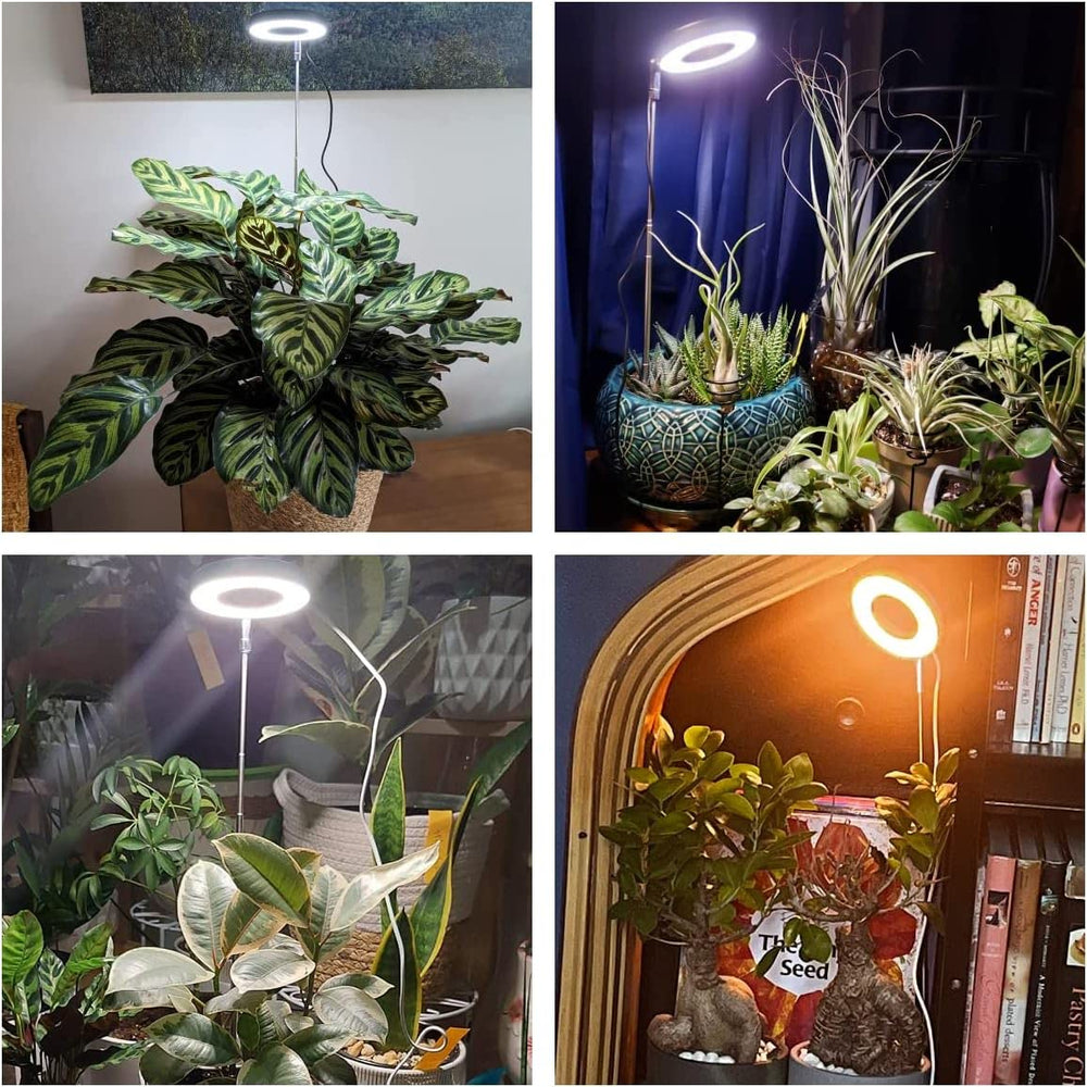 Aokrean Halo Grow Light with power adapter and base