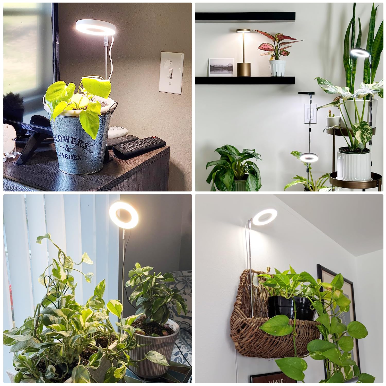 Aokrean Halo Grow Light with power adapter and base