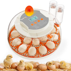 Apdoe Egg Incubator front view with transparent lid
