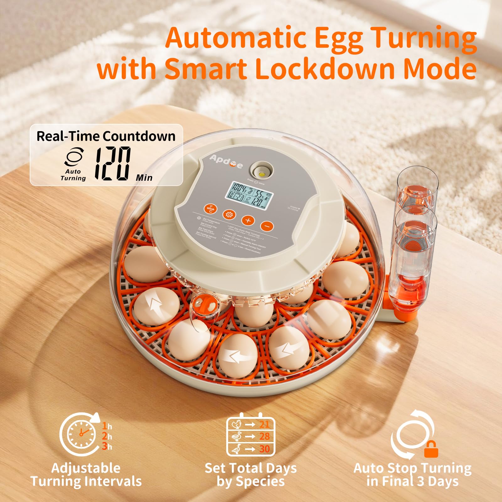 Apdoe Egg Incubator with built-in egg candler