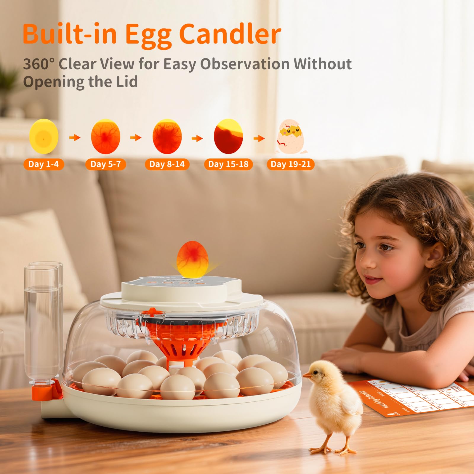 Apdoe Egg Incubator with cleaning brush and accessories
