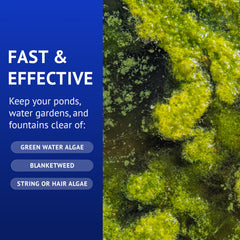 API POND ALGAEFIX in use in a pond