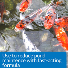 API POND SIMPLY CLEAR Pond Water Clarifier 16-Ounce Bottle side view