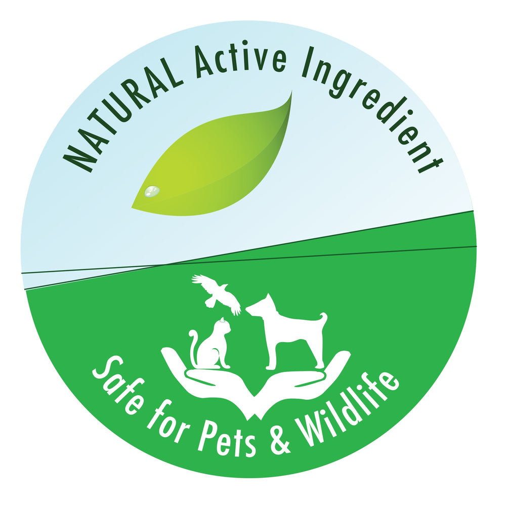 API POND-ZYME SLUDGE DESTROYER application instructions