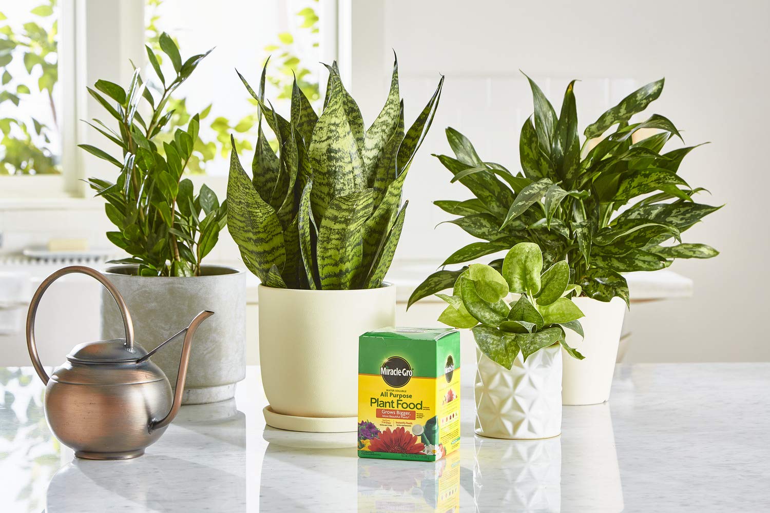 Application instructions for Miracle-Gro Water Soluble Plant Food