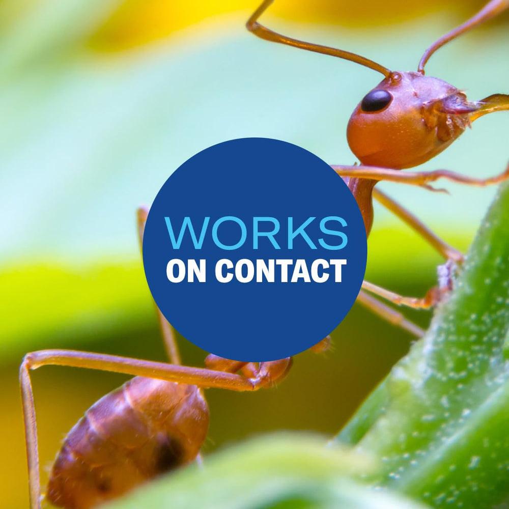 Application of BioAdvanced Fire Ant Killer Dust on an ant mound
