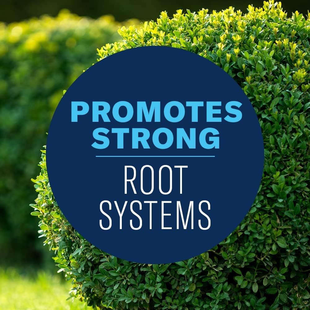 Application of BioAdvanced Shrub Care around shrubs