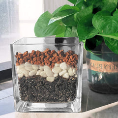Application of CARURBODY Red Lava Rocks in a succulent pot
