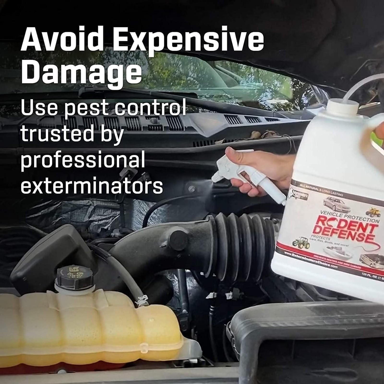 Application of Exterminators Choice Mice & Rat Protection Spray on vehicle