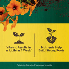 Application of Miracle-Gro Organic All Purpose Plant Food in garden