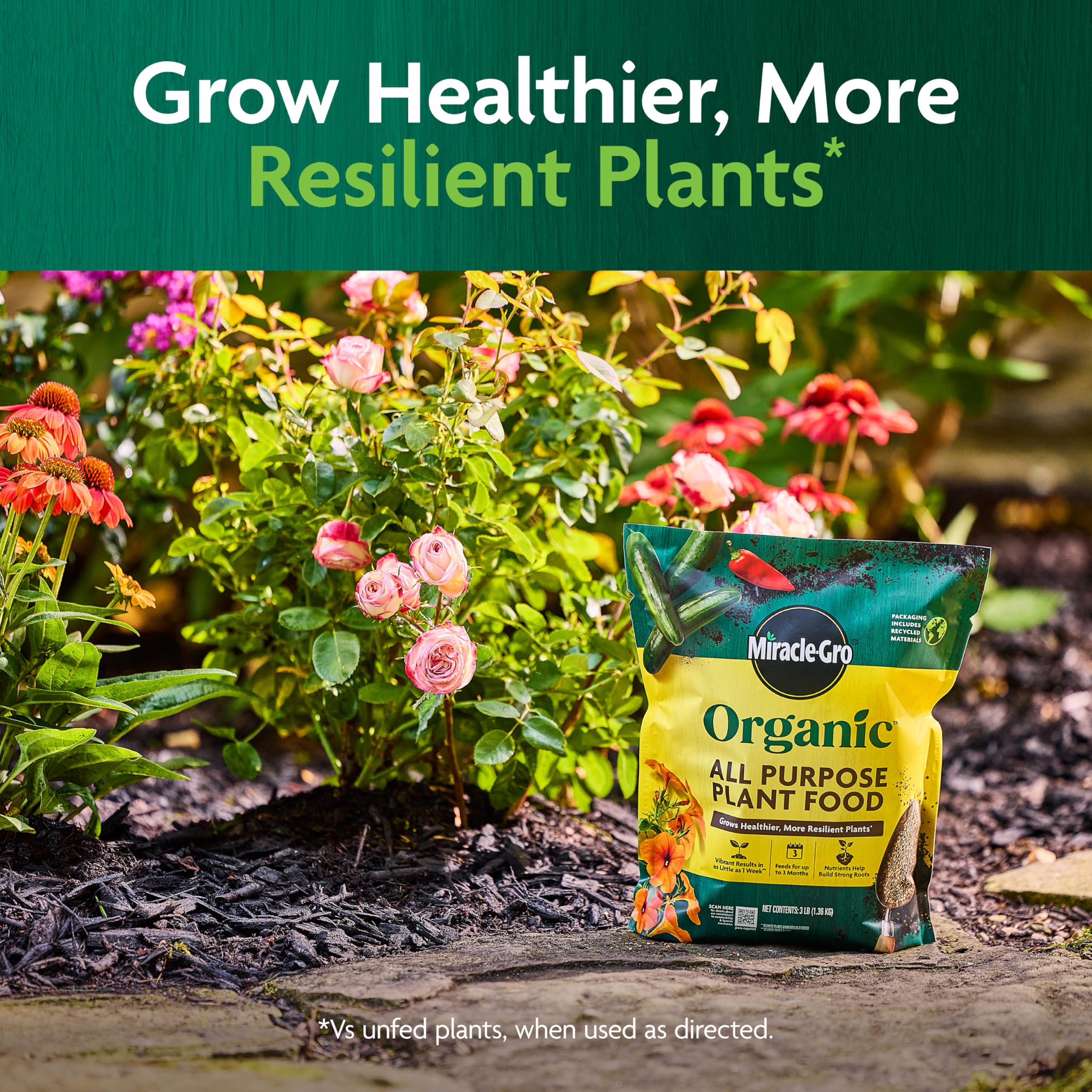 Application of Miracle-Gro Organic Plant Food on garden soil