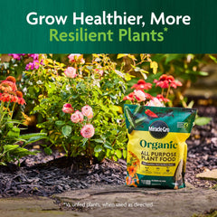 Application of Miracle-Gro Organic Plant Food on garden soil