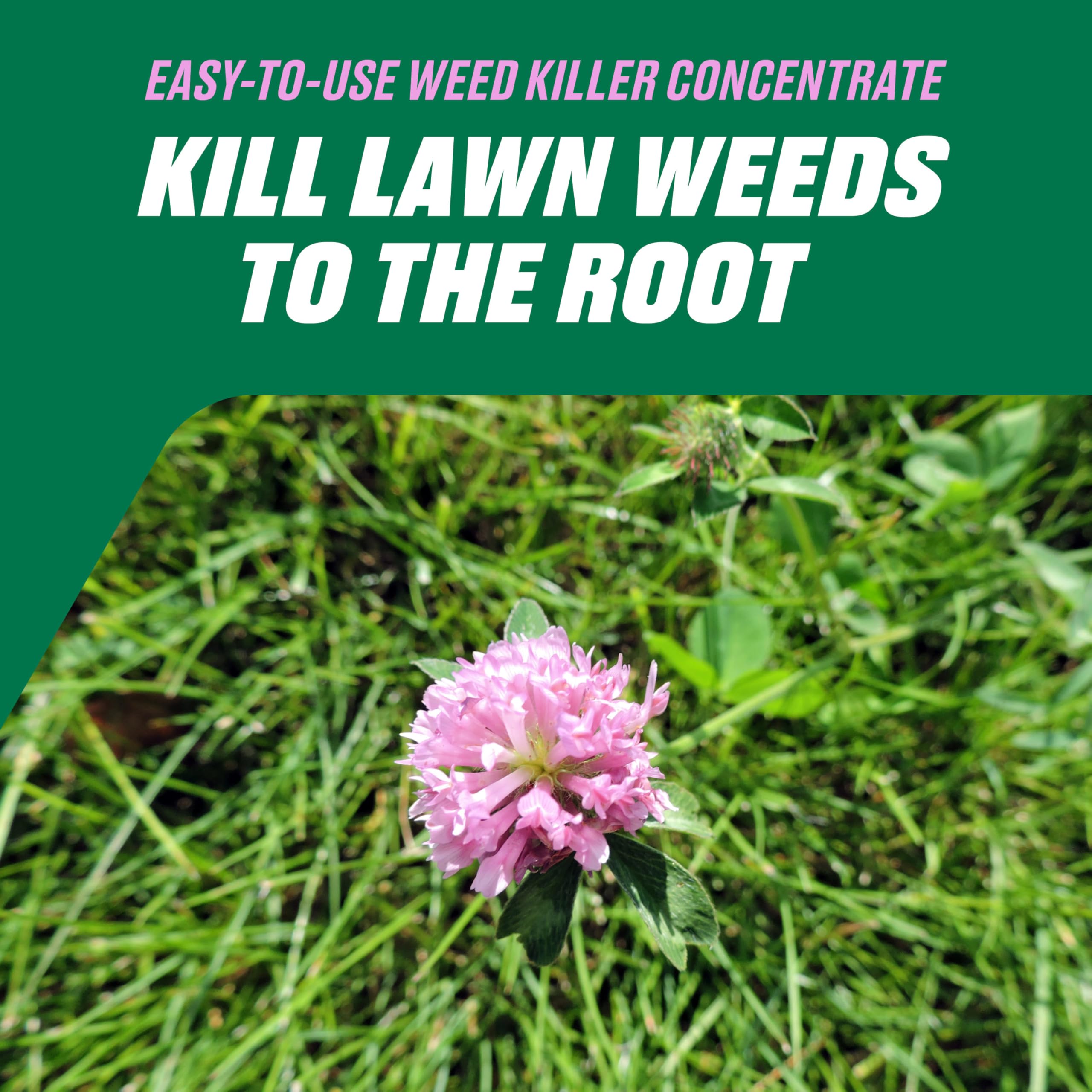 Application of Ortho Chickweed, Clover & Oxalis Killer on grass