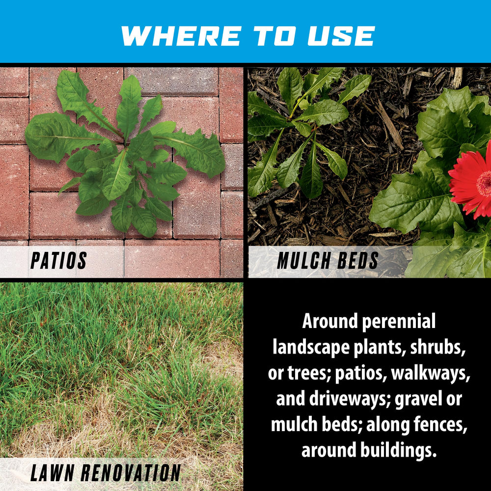 Application of Ortho GroundClear on weeds in garden