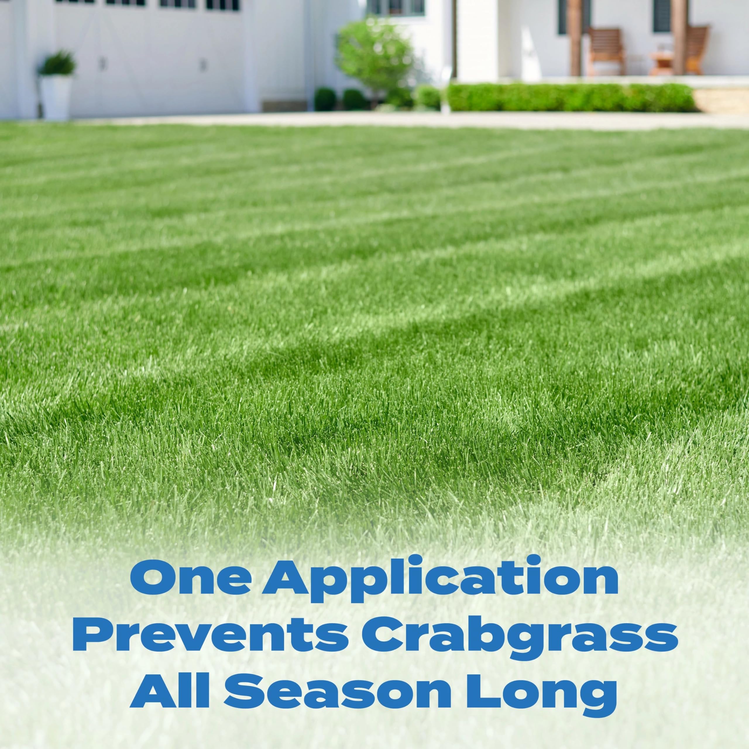 Application of Scotts Halts on a lawn