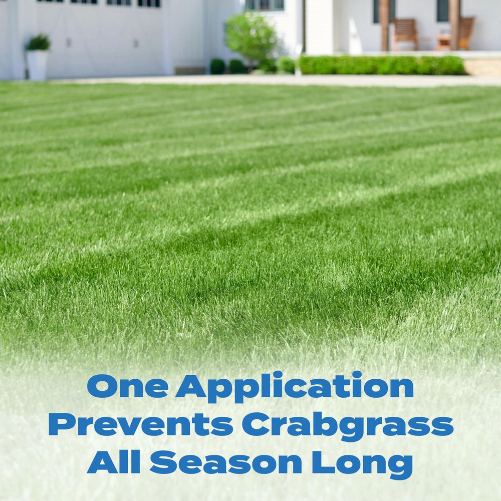 Application of Scotts Halts on a lawn