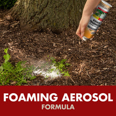 Application of Spectracide Weed & Grass Foaming Edger on lawn