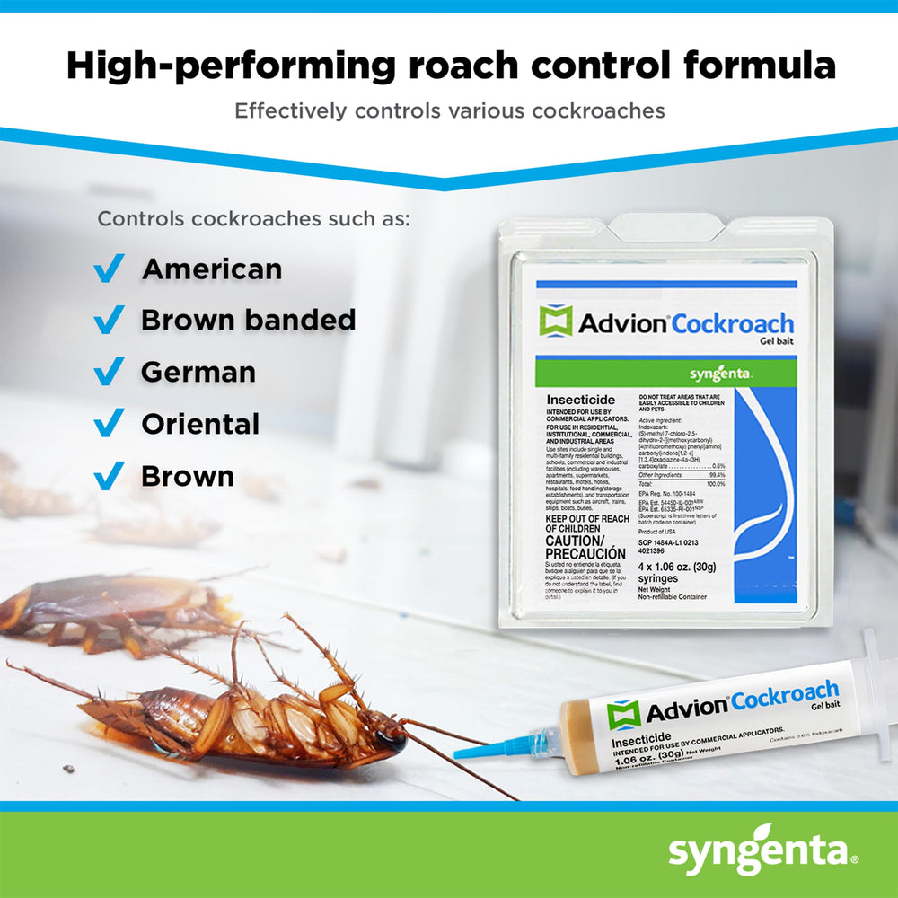 Application of Syngenta Advion Gel Bait in a crack