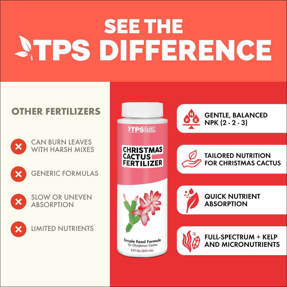 Application of TPS NUTRIENTS Christmas Cactus Fertilizer on cactus