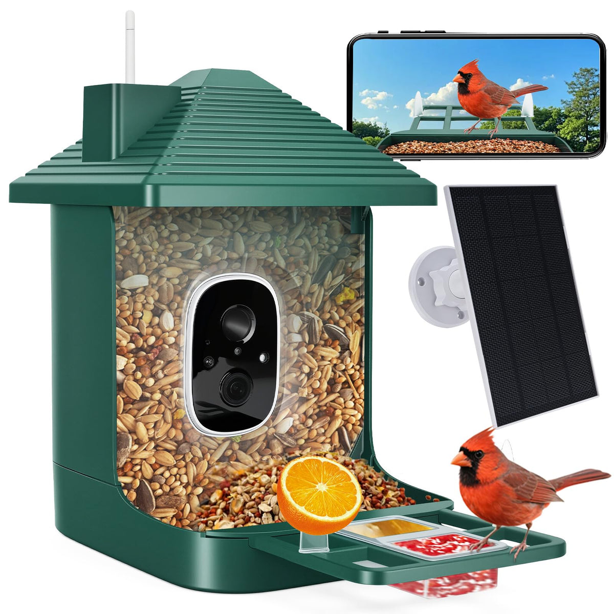 Aprilmin Solar Smart Bird Feeder front view with camera
