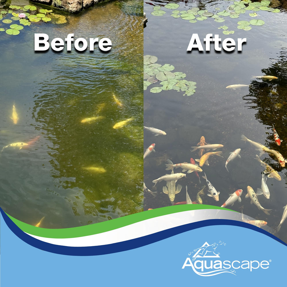 Aquascape Algaecide 32-Ounce bottle dimensions and packaging