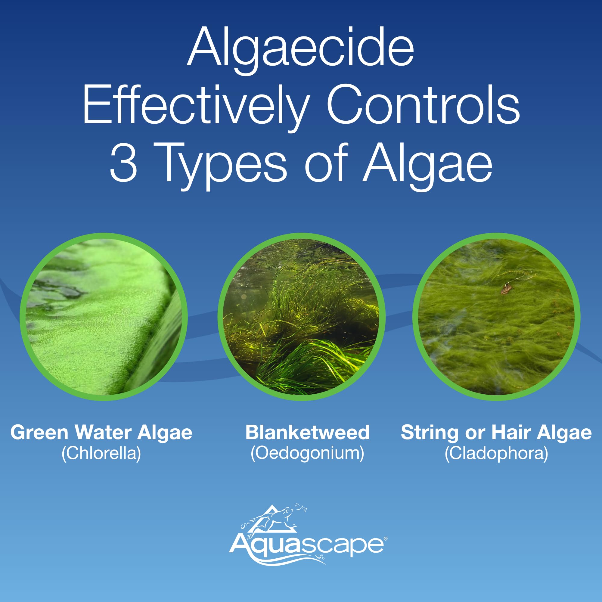 Aquascape Algaecide 32-Ounce bottle with label showing solution purpose