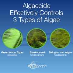 Aquascape Algaecide 32-Ounce bottle with label showing solution purpose