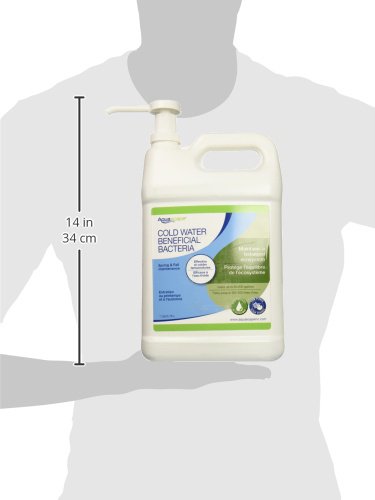 Aquascape Cold Water Beneficial Bacteria 128 fl oz bottle with aquatic plants