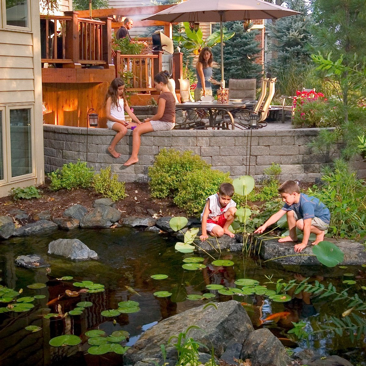 Aquascape Cold Water Beneficial Bacteria clear liquid in bottle